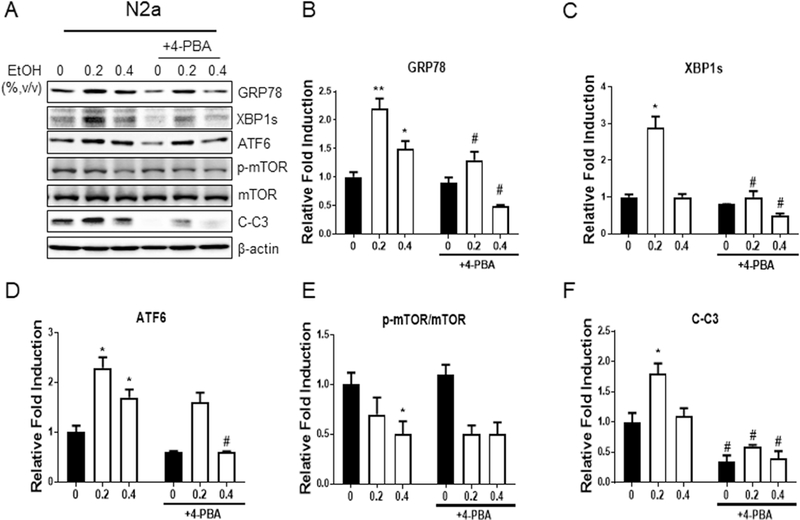 Fig. 4.