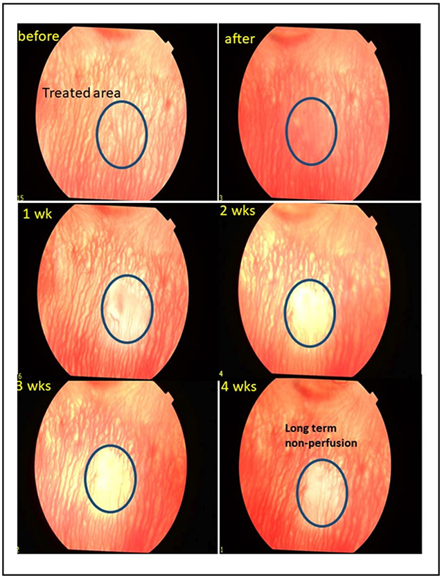 Figure 3.