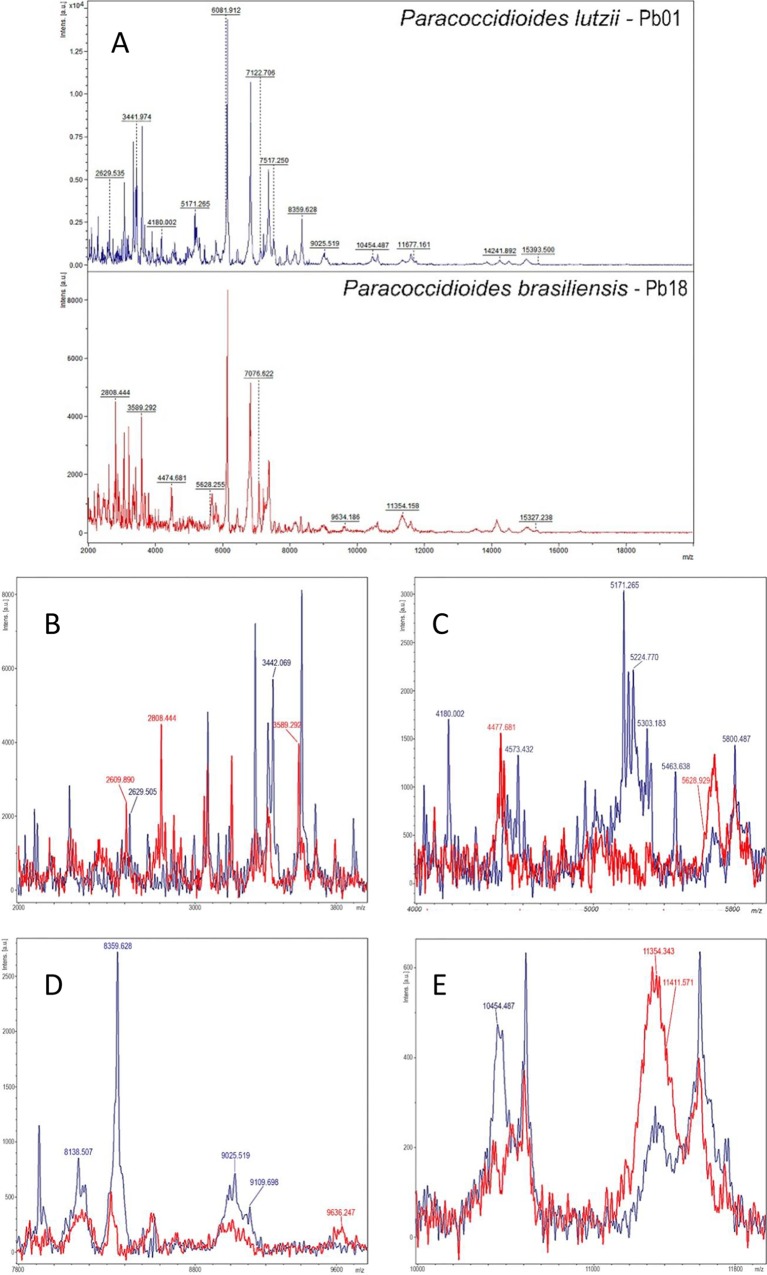 FIG 1