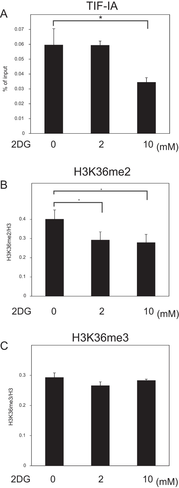 FIG 6