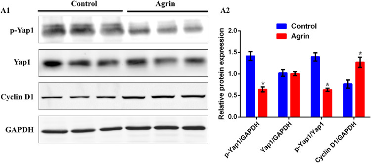 Figure 5.