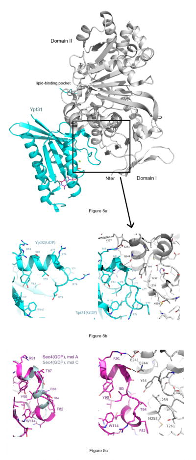 Figure 5