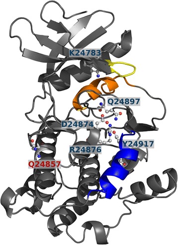 Fig. 3