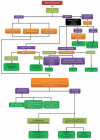 Algorithm 5