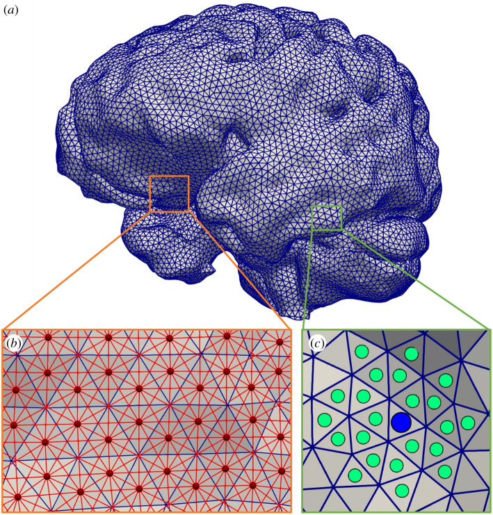 Coupling one-dimensional arterial blood flow to three-dimensional ...