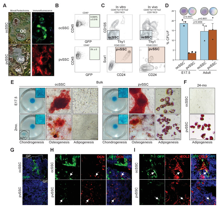 Figure 1—figure supplement 1.