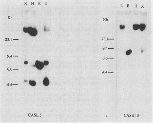 graphic file with name jclinpath00414-0025-a.jpg