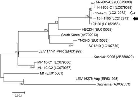 Fig. 2