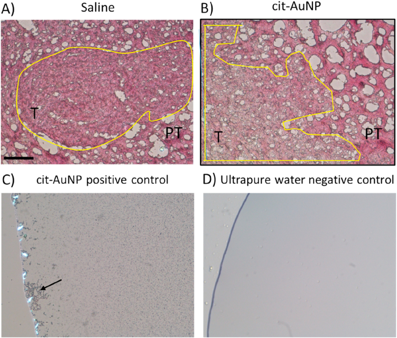 Figure 5