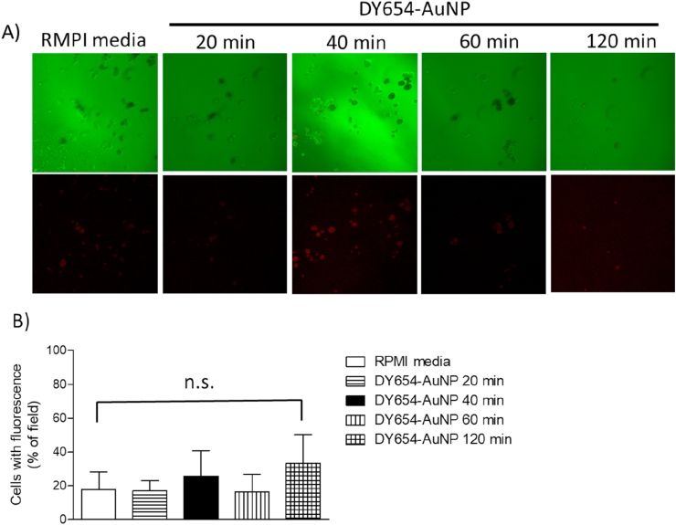 Figure 4