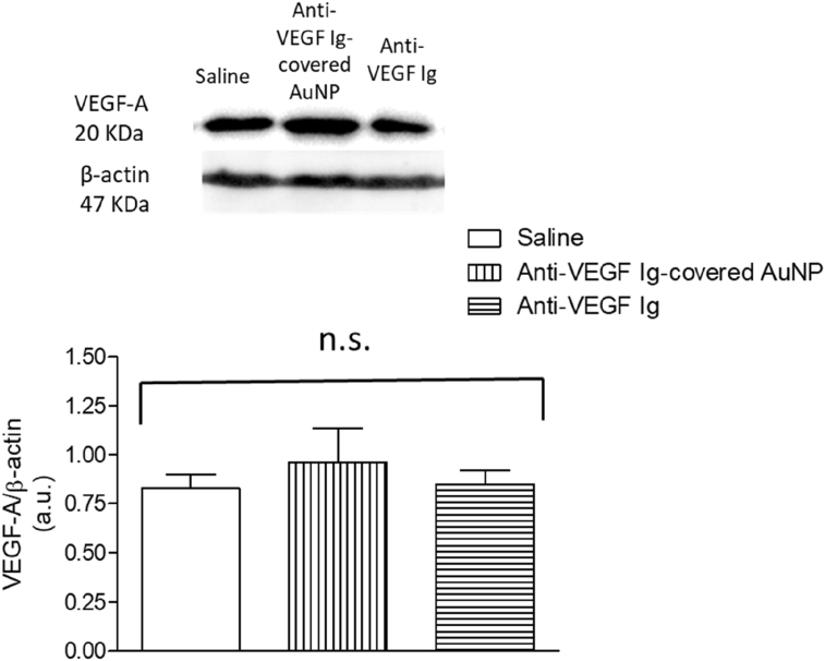 Figure 6