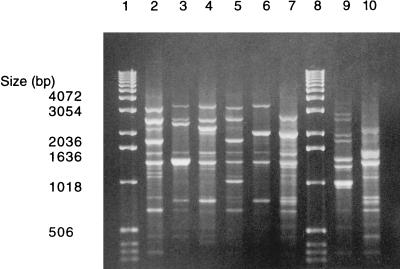 FIG. 1