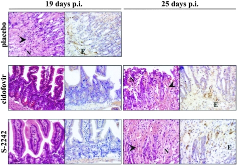 FIG. 6.