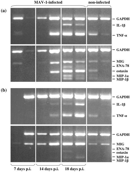 FIG. 5.