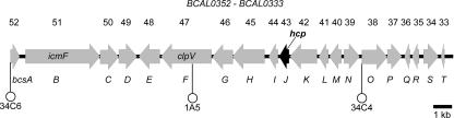 FIG. 5.