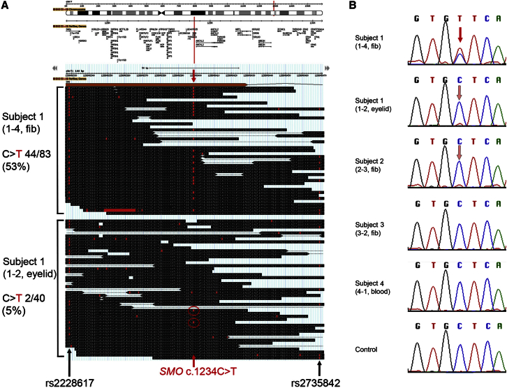 Figure 2