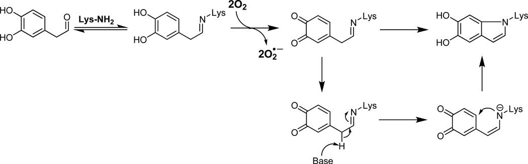 Scheme 2