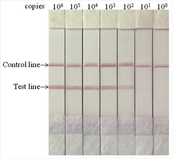 Fig. 3