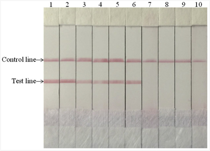 Fig. 4