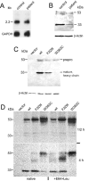 Figure  1