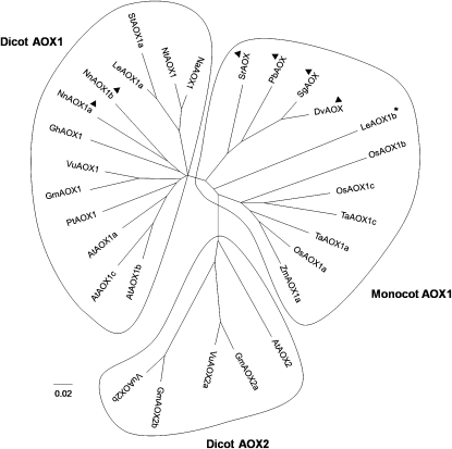 Figure 4.