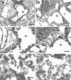 FIG. 7.