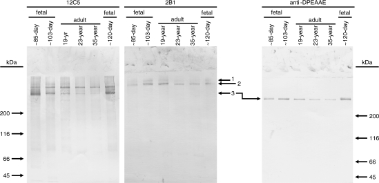 Fig. 4.