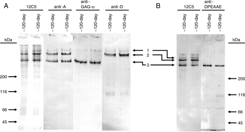 Fig. 2.