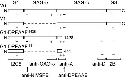 Fig. 1.