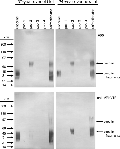 Fig. 6.