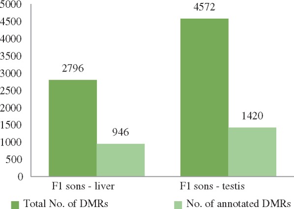 Figure 3: