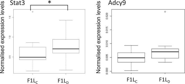 Figure 5: