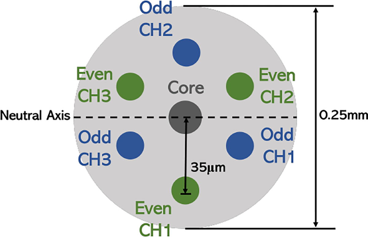 Fig.3: