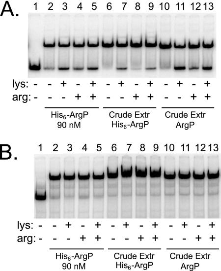 FIG. 5.