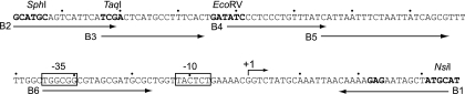 FIG. 1.