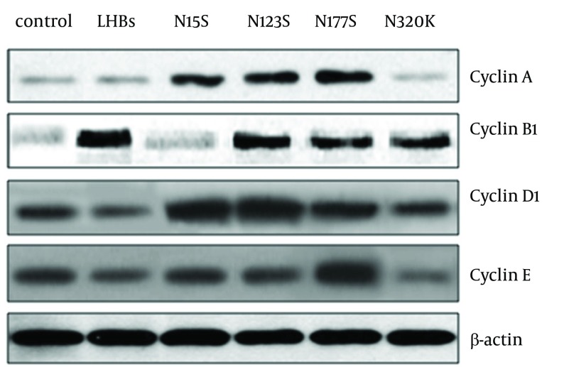 Figure 2.