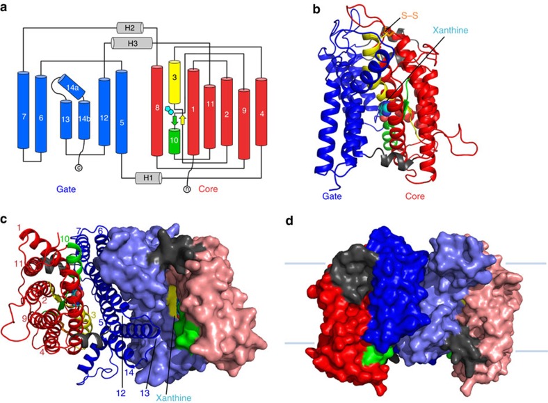 Figure 1