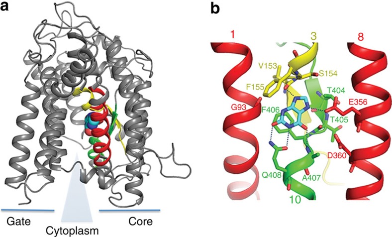 Figure 2