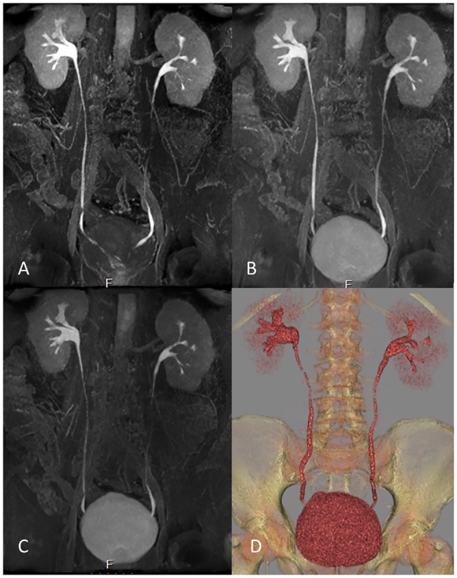 Fig 5