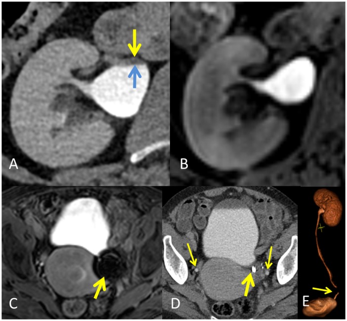 Fig 4