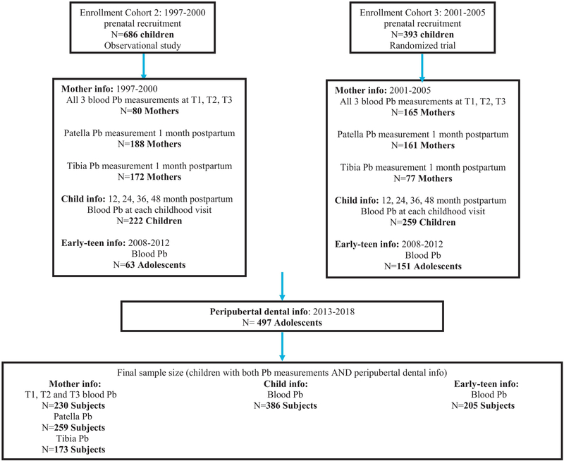 Figure 1: