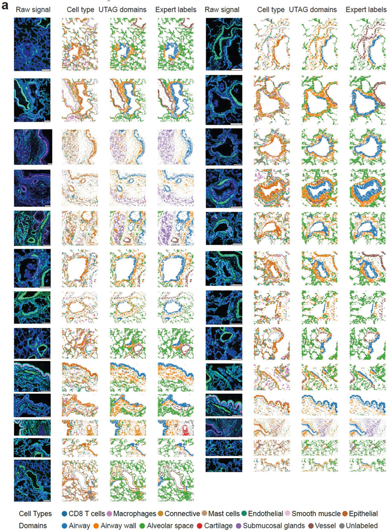 Extended Data Fig. 2 |