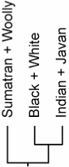 Inline graphic