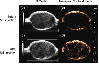 Fig. 4