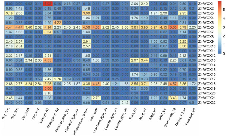 Figure 6