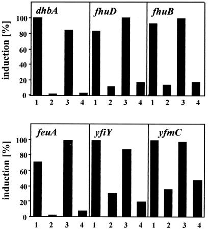 FIG. 8.