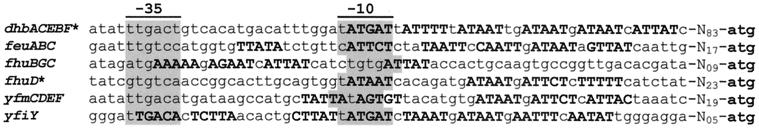 FIG. 7.