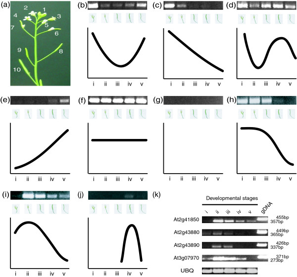 Figure 7