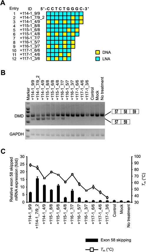 Figure 6.