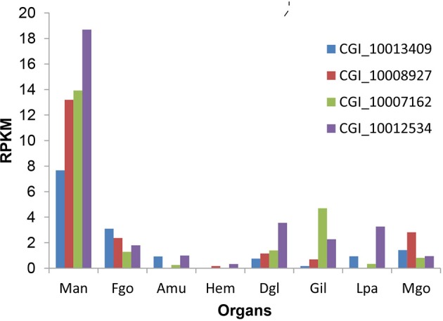 Figure 2